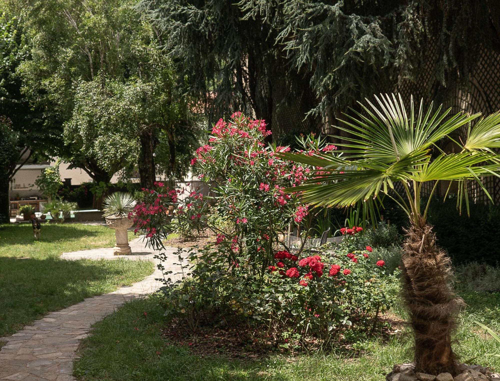 Residence Midi Mazamet Exterior foto